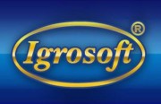 IgroSoft – успех игровой индустрии